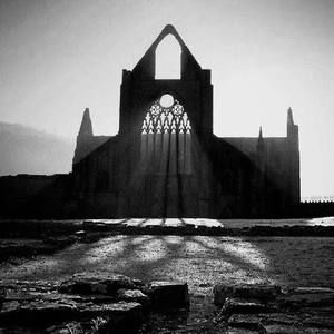 Meet your Posher, Genevieve